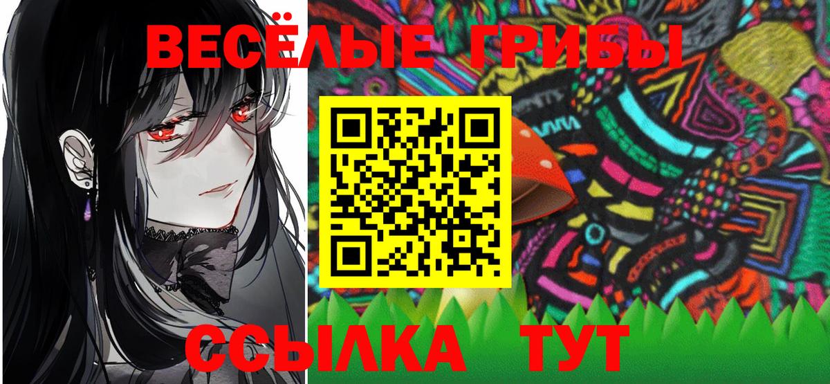 Псилоцибиновые грибы Cubensis  Вход с VPN  Волжский 